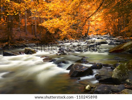 Autumn landscape with trees and river
