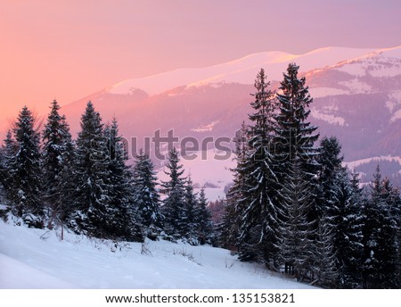 Beautiful sunrise in the winter mountains
