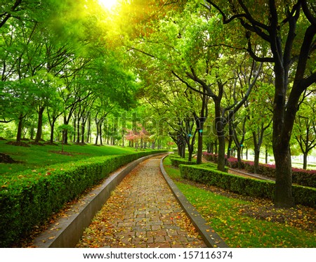 Green city park Shanghai china Green city park Shanghai china