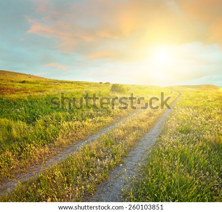 Summer landscape with green grass, road and sunset clouds