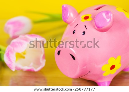 Piggy coin bank on yellow background with  tulip flowers. Cute white ceramic piggy coin bank. Money savings.Financial security,Personal funds.Spring.
