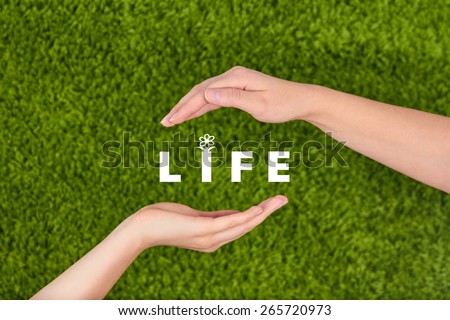 Two Woman\'s open hands making a protection gesture with Life inscription  isolated on green background.Family life insurance, protecting family, family concepts.