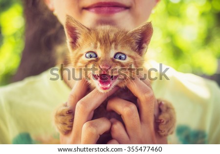 Smiling little girl holding small kitten in hands outdoor.Funny little cat with a happy expression outdoor in little girls hands.Animal love and care concept.