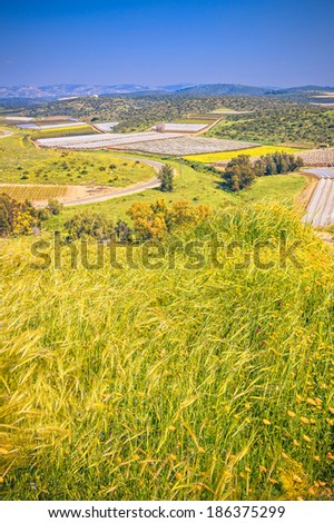 Israeli beautiful landscape overlooking fields in negev