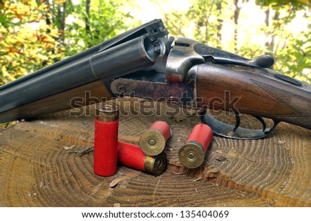 shotgun and its cartridges. Still life representing hunting.