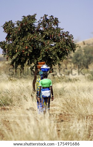 KOUPELA, BURKINA FASO - JANUARY 13: the African women carrying heavy loads sometimes on their heads over long distances through the bush, january 13, 2008.
