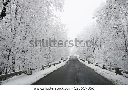 winter road in snow