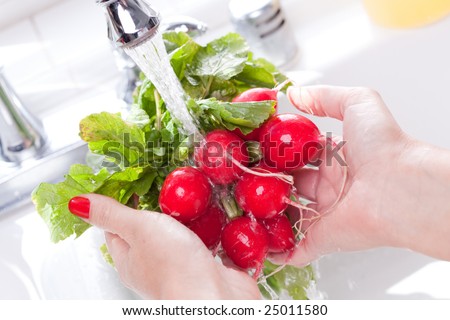 Woman Washing Radish in the Kitchen Sink.