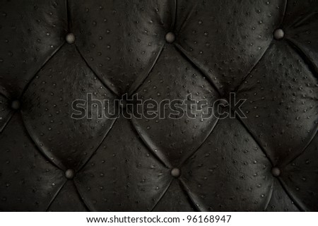 Luxury buttoned ostrich leather pattern.