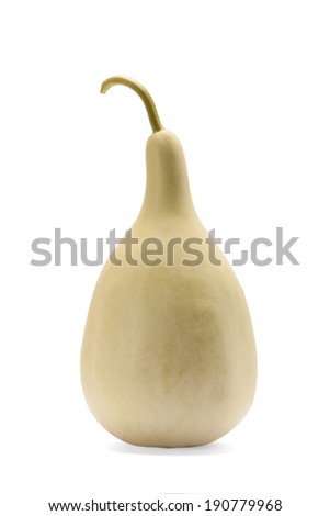 green Chinese winter melon isolated on white background