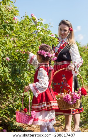 GORNO CHERKOVISHTE, BULGARIA - MAY 31, 2015 - Rose picking ritual. People dressed up in a traditional folklore costumes sing and dance for health and succesful harvest of the Bulgarian Roses.