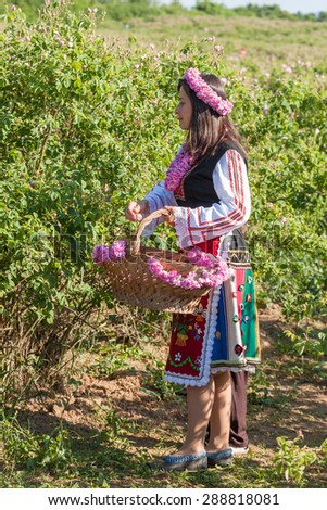 GORNO CHERKOVISHTE, BULGARIA - MAY 31, 2015 - Rose picking ritual. People dressed up in a traditional folklore costumes sing and dance for health and successful harvest of the Bulgarian Roses.