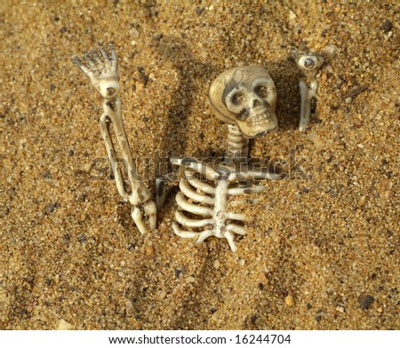 stock-photo-skeleton-bones-buried-in-the-sand-16244704.jpg