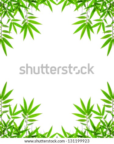 bamboo leaves High resolution image of wet bamboo-leaves isolated on a white background with clipping path