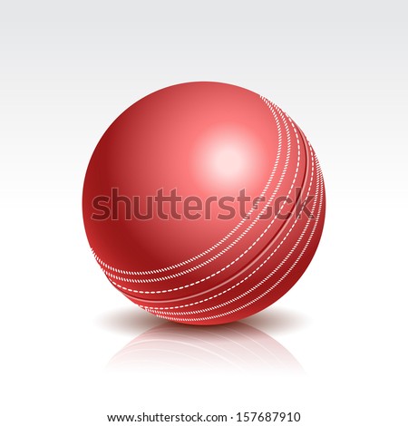 Vector Illustration of a Cricket Ball