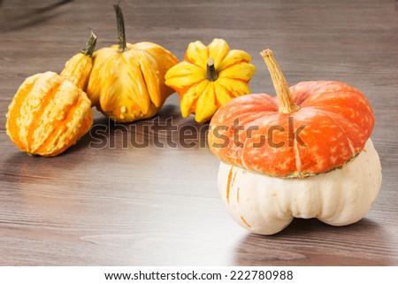 Collection of pumpkins, isolated on white. Includes butternut, kent, and golden nugget varieties.