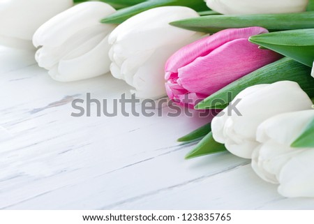 Pink tulip among white tulips on white wooden rustic table - One Of A Kind concept