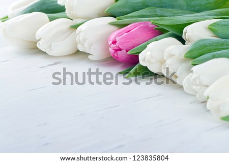 Pink tulip among white tulips on white wooden rustic table - Unique concept