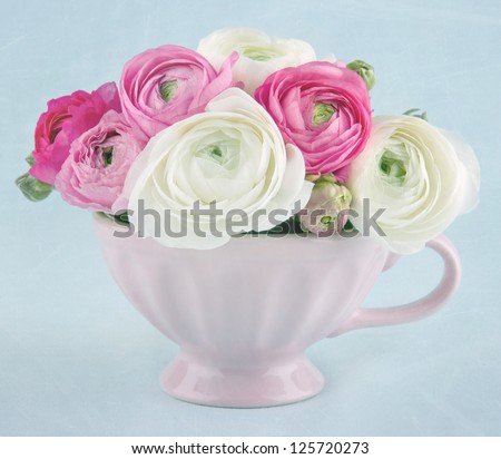 Ranunculus flowers in a pink cup on light blue textured background