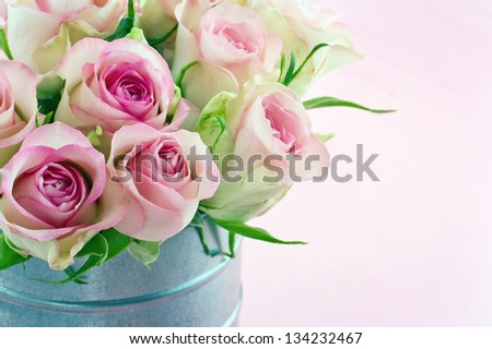 Pink romantic roses on pastel color shabby chic background