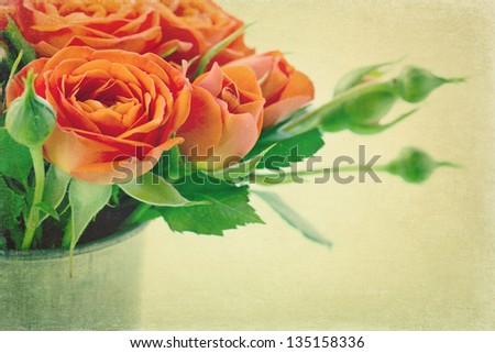 Romantic vintage orange roses with light cream color textured background