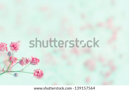 Pink baby\'s breath flowers on light blue pastel shabby chic textured background and copy space, soft and delicate floral pattern