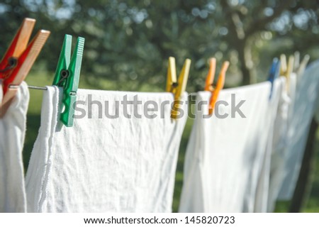 Closeup of white clean t-shirts and other laundry drying on a clothesline hanging from an olive tree in a green summer garden in Italy Tuscany