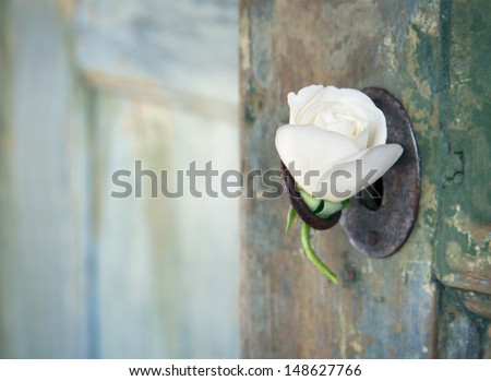 Green old wooden door opening with light shining through and white rose hanging from an old key