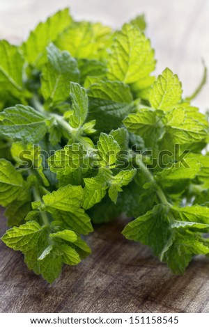 Bunch of green fresh mint herbs on rustic wooden table background