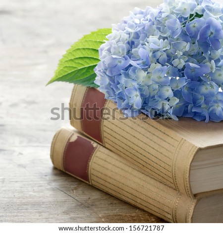 Old books with romantic blue flowers on wooden background, vintage editing