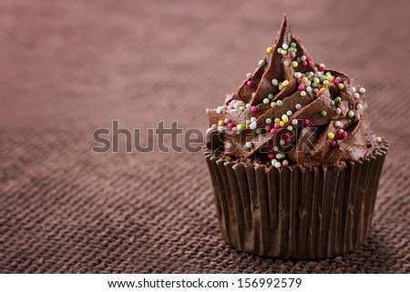 Chocolate cupcake with colorful sprinkles on dark background and copy space