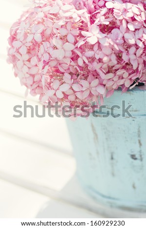 Pink hydrangea flowers in a light blue old wooden vintage vase