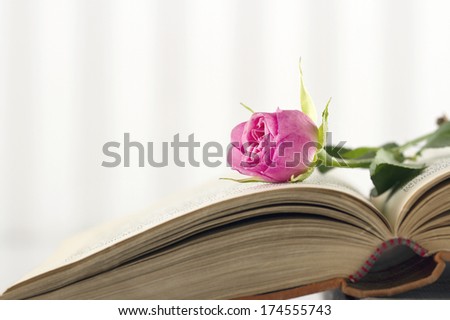 Open book with single pink rose on vintage background