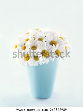 Bouquet of daisy flowers in a blue vase on light blue pastel background with hazy vintage editing