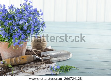 Vintage garden tools and blue flowers in terracotta flower pots - concept for gardening