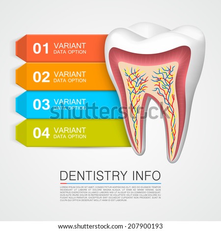 Dentistry info Vector Illustration Dentistry info Vector Illustration
