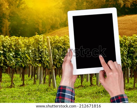 tablet in the hands of the vineyard in the background