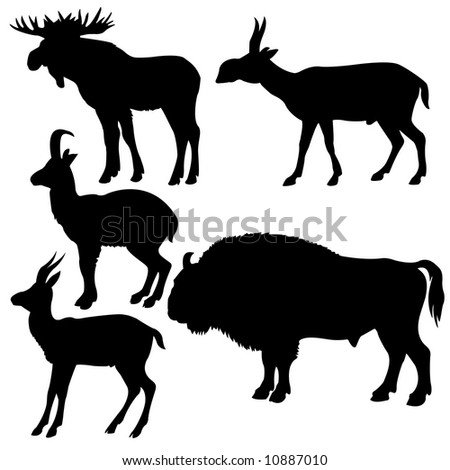 silhouettes of animals. photo : silhouettes animal