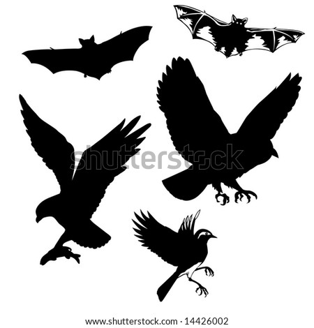 flying bird tattoo. flying birds and bats