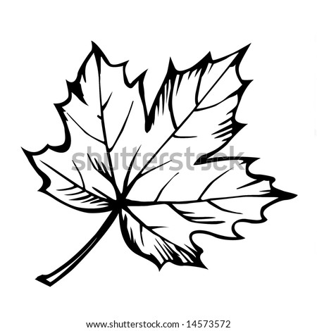 blank maple leaf