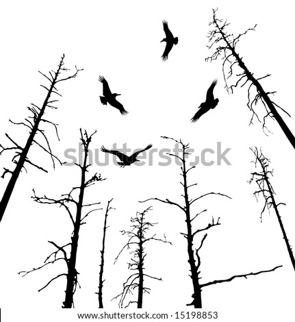 dead tree tattoo. ravens fly on dead tree.