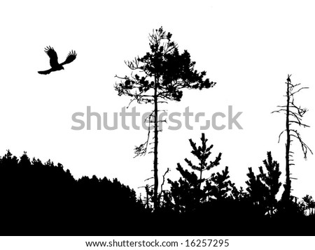 flying bird tattoo. silhouette flying birds