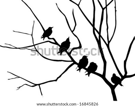 Tree Vector on Vector Silhouette Starling On Branch Tree   Stock Vector
