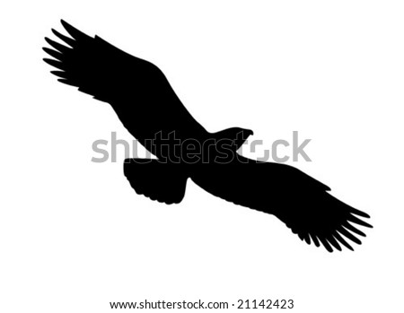 bird silhouette tattoo. vector : vector silhouette