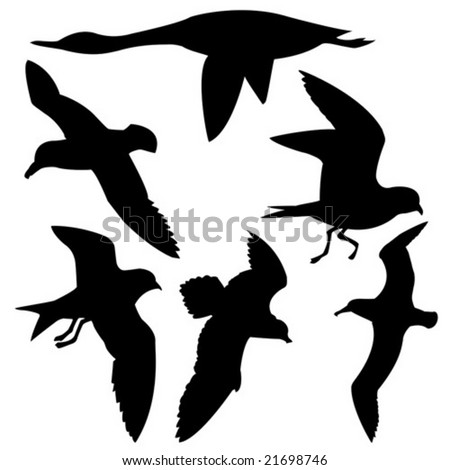 flying bird tattoo. silhouette flying birds on
