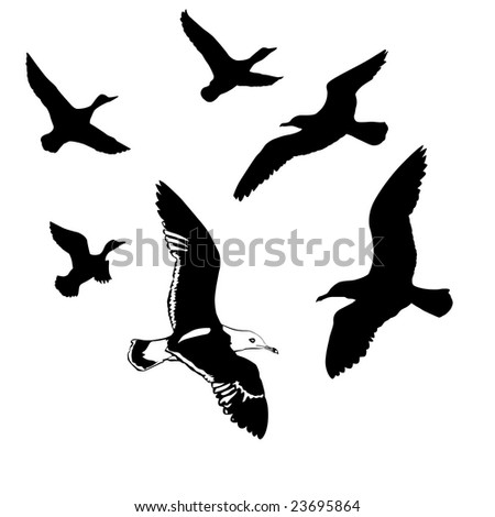 bird silhouette tattoo. BIRD SILHOUETTE FLYING TATTOO
