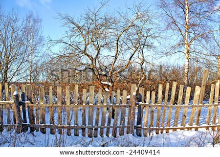 old fence in winter garden