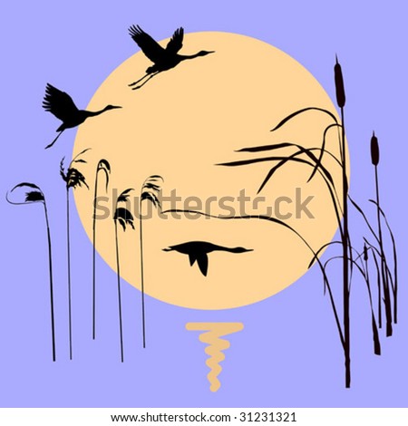 stock vector vector drawing flying birds on background sun