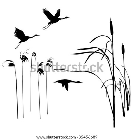 Vector Drawing Flying Birds - 35456689 : Shutterstock