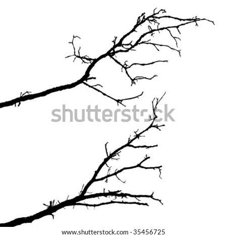 clip art tree branch. clip art tree branches. clip